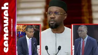 M. Diallo: 