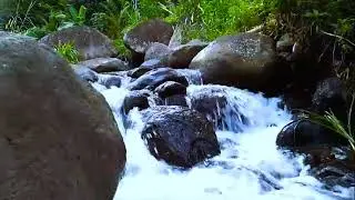 The sound of splashing clear flowing water is therapeutic for the brain and the mind becomes calm