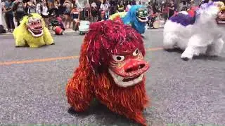 一万人エイサーオープニング獅子舞