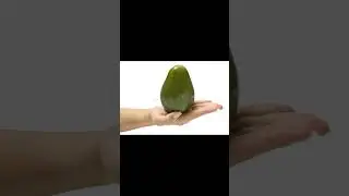 prenez  un avoca   🥑c moin cher qu'un  avocat 👨&zwj;🎓💼💰