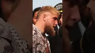 Jake Paul vs Perry Staredown | Intense Face-Off! #boxing #shorts #jakepaul #viral