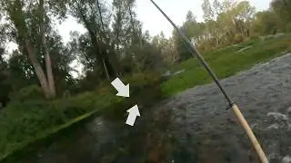 &iexcl;Pesca de dos grandes truchas los &uacute;ltimos minutos de un sereno de agosto!!!