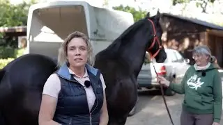 Horse is ridden with a Western saddle and has been lame ever since – what is the cause?