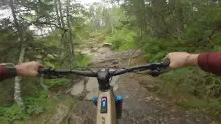 Orbea Wild 2023 in Bymarka