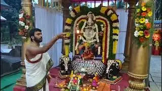 Kalabhairava Harathi #harathi #trending #bbie 