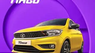 Tiago | Victory Yellow