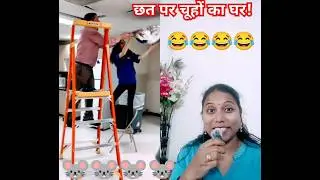 चूहों ने किया हंगामा/ Cleaning met mouse🐀/ #shorts #funny #failgag #househunting #insects