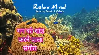 Relax mind before sleep | Relax mind music | Relax mind in 3 minutes | Relax mind meditation | Relax