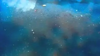 元気が出るクラシック名曲8曲【作業用】