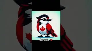Countries as birds part 5  #birds #art #countries #world #bird #fantasy #a #drawing #geography #top