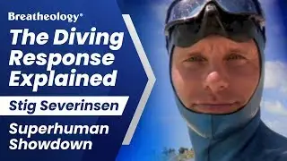 The Diving Response Explained - Stig Severinsen on Superhuman Showdown