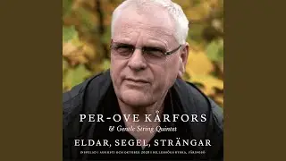 Aftonpsalm (feat. Gentle String Quintet & Ligita Sneibe)