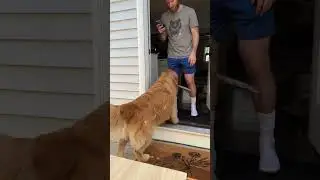 wally.meets.world