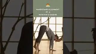 Handstand Alignment Part 6: Complete Handstand Checklist