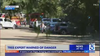 Tree expert warned of dangerous decay before deadly branch collapse