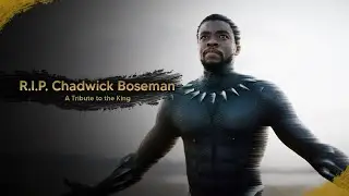 R.I.P. Chadwick Boseman - A Tribute to the King