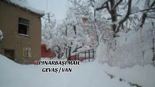 Pınarbaşı Mahallesi Gevaş Van