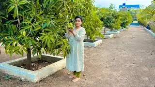 आज घराजवळ पडली पावसाने वीज || आज आब्याचे पाड उतरवले || दोन बायला फजिती आईका …