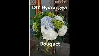 How to design and care for Hydrangeas