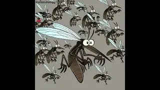 Amoyo mweee mosquito choir vs Bob kichwa ngumu #comedy #funny