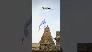Dwarkadhish Temple| Dwarka | Gujarat #travel #incredibleindia #love #krishna