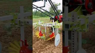 BEST In-Row Weed Control - Finger Weeders&nbsp;#farmequipment #marketgarden #cultivation