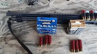 Patterning Small Game Loads from a Tactical Shotgun (no choke) - Federal Heavy Field & Grand Slam