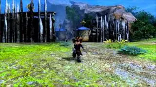 Guild Wars 2 Slow motion running