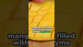Если вы едите манго каждый день, что происходит с вашим организмом?