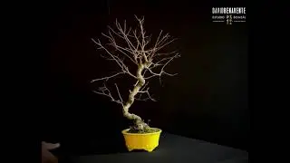 61106
