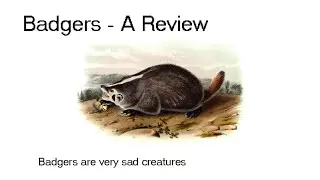 Badgers - A Review