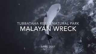 Malayan Wreck - Tubbataha Reefs Natural Park