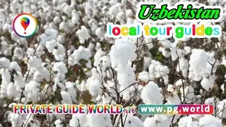 Local Tour Guides in Uzbekistan on Private Guide World #shorts
