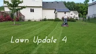 Lawn Update 4 - Proof that Aeration Works, More Mowing and Stripes