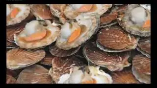 Santa Monica Seafood Plant Tour