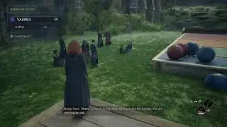 Hogwarts Legacy Platinum Hunt #live #youtubegaming #hogwartslegacy