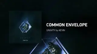 AEVIN - Common Envelope