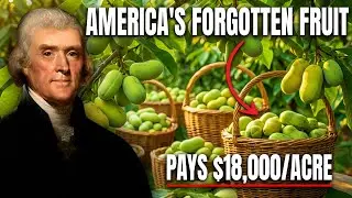 $18 Per Pound, Zero Pests, 30 Years Production. Why USDA Called It 'Insufficient Acreage?