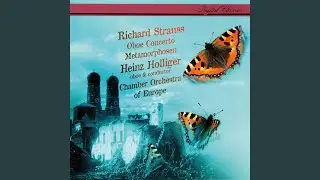 R. Strauss: Oboe Concerto in D Major, TrV 292: Allegro