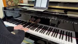 He's a Pirate (Pirates of the Caribbean)  |  beginner piano solo  |  sheet music link below