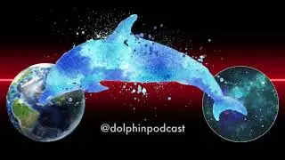 Dolphin Podcast Ep.7 - Music (Introduction to ECHOES) - 30/12/19