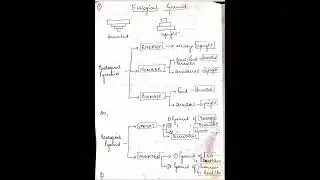 Ecological Pyramid #Ecological Pyramid