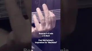 Bach's Bourree in E min, Paul McCartney's inspiration for Blackbird