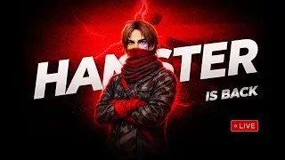 TL HAMSTER Live Stream