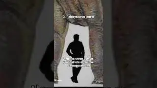 Los dinosaurios mas fuertes aun por confirmar P2 #animalesprehistoricos #dinosaurio