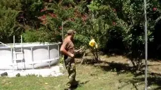 Scout tries the Bayonet