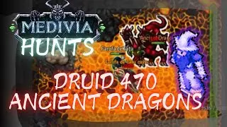 DRUID 470 TEAMHUNTS ANCIENT DRAGONS - EXPLORER'S GUILD - MEDIVIA ONLINE