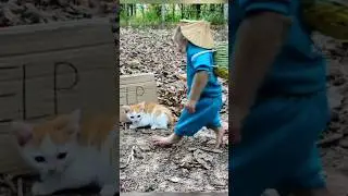 baby monkey kiki🥰monkey🥰kiki monkey🥰😇#shorts #monkey