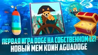 Первая игра DOGE на собственном L2! Обзор AguaDoge