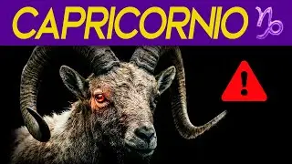 CAPRICORNIO: El Guerrero Silencioso que el mundo no sabe manejar